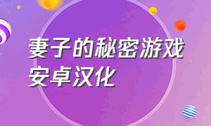 妻子的秘密游戏安卓汉化