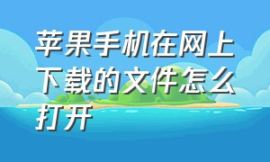 苹果手机在网上下载的文件怎么打开