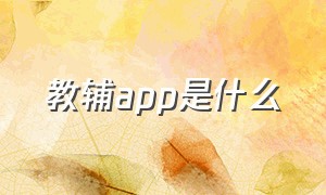 教辅app是什么