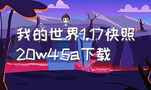 我的世界1.17快照20w45a下载（我的世界1.17快照20w51a下载）