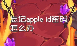 忘记apple id密码怎么办