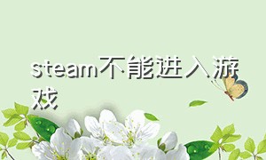 steam不能进入游戏