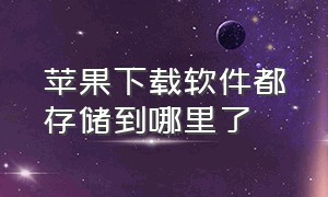 苹果下载软件都存储到哪里了