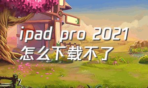 ipad pro 2021怎么下载不了