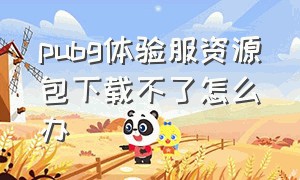 pubg体验服资源包下载不了怎么办