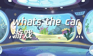 whats the car游戏（the game carshed）