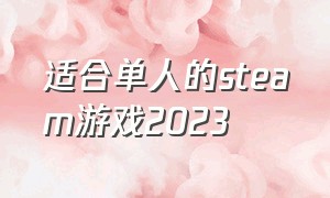 适合单人的steam游戏2023