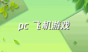 pc 飞机游戏