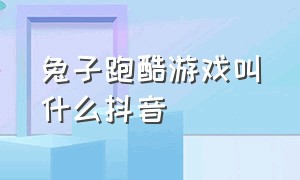 兔子跑酷游戏叫什么抖音