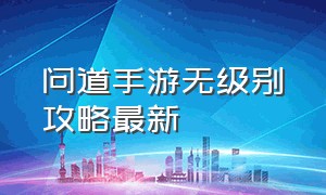 问道手游无级别攻略最新