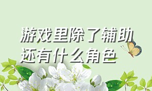 游戏里除了辅助还有什么角色（游戏里除了辅助还有什么角色可以玩）