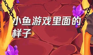 小鱼游戏里面的样子