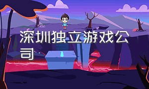 深圳独立游戏公司