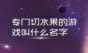 专门切水果的游戏叫什么名字