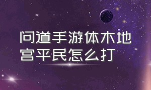 问道手游体木地宫平民怎么打