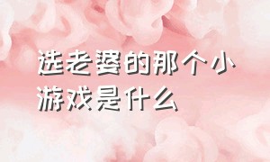 选老婆的那个小游戏是什么