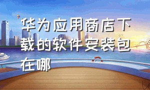 华为应用商店下载的软件安装包在哪（华为不是应用商店下载的怎么安装）