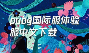 pubg国际服体验服中文下载