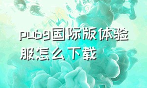 pubg国际版体验服怎么下载