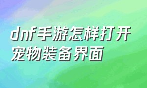 dnf手游怎样打开宠物装备界面