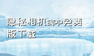 隐秘相机app免费版下载