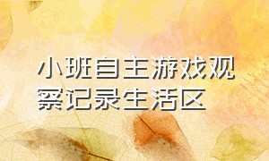 小班自主游戏观察记录生活区