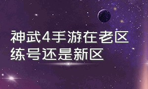 神武4手游在老区练号还是新区