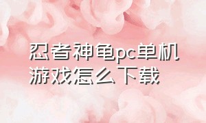 忍者神龟pc单机游戏怎么下载