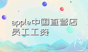 apple中国直营店员工工资