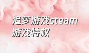 追梦游戏steam游戏特权