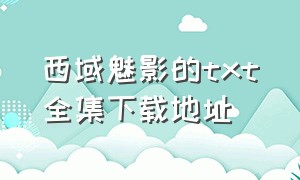 西域魅影的txt全集下载地址