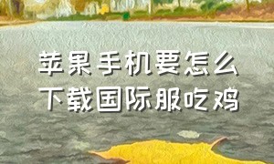 苹果手机要怎么下载国际服吃鸡（国际服吃鸡下载教程苹果手机）