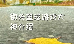 街头篮球游戏大神介绍