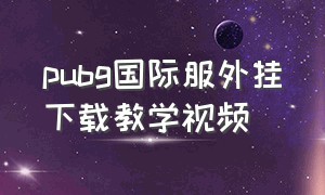 pubg国际服外挂下载教学视频（pubg国际服挂软件免费）