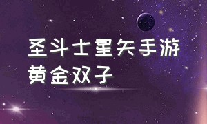 圣斗士星矢手游黄金双子（圣斗士星矢手游五个双子）