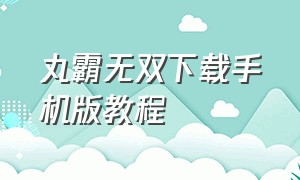 丸霸无双下载手机版教程