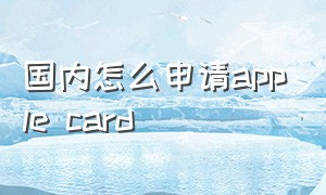 国内怎么申请apple card