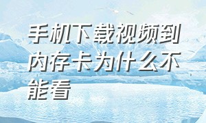 手机下载视频到内存卡为什么不能看