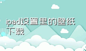 ipad设置里的壁纸下载（ipad怎么下载桌面壁纸）