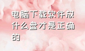 电脑下载软件放什么盘才是正确的（电脑下载软件放什么盘才是正确的格式）