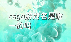 csgo游戏名是唯一的吗