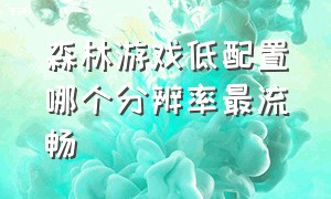 森林游戏低配置哪个分辨率最流畅