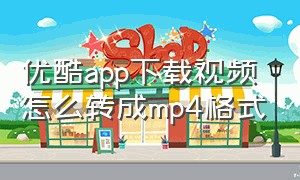 优酷app下载视频怎么转成mp4格式