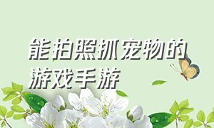 能拍照抓宠物的游戏手游