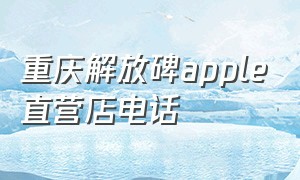 重庆解放碑apple直营店电话