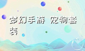 梦幻手游 宠物套装（梦幻手游宠物套装评分）