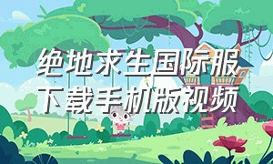 绝地求生国际服下载手机版视频