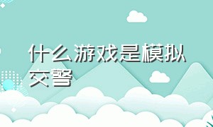 什么游戏是模拟交警（什么游戏是模拟交警抓人）