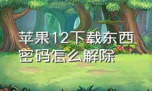 苹果12下载东西密码怎么解除