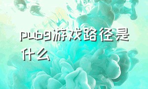 pubg游戏路径是什么（pubg游戏路径怎么设置）